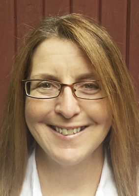 Berrien county local proposals and races